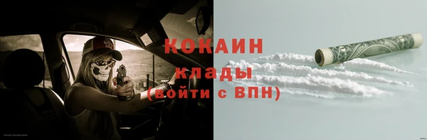 apvp Бородино
