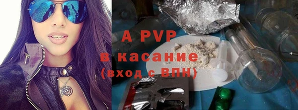apvp Бородино
